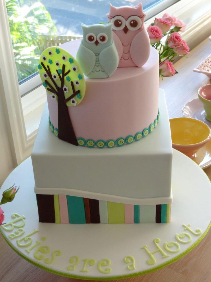 A pair of owls on a baby shower cake