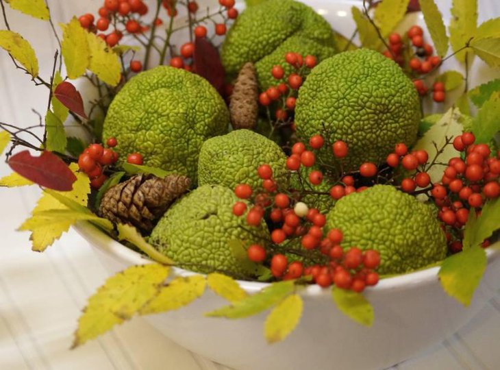Fall Elements as Natural Thanksgiving Centerpieces 1