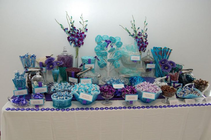 Gorgeous purple baby shower candy table with blue tones