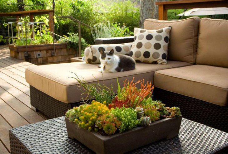 Outdoor coffee table decor with succulents