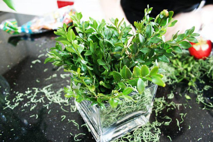 Refreshing buxus and moss spring table centerpiece
