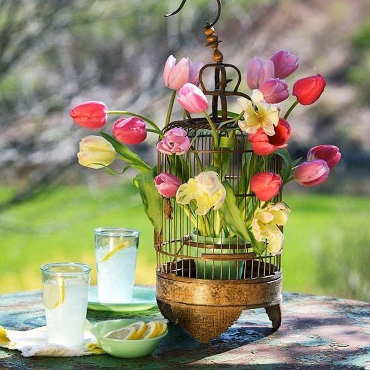 Spring birdcage decoration on garden party table