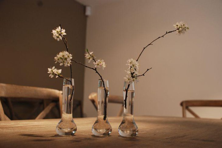 Spring blossom in glass vases for spring table