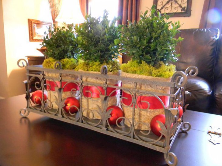 Unique boxwood bush in metal planter as coffee table centerpiece