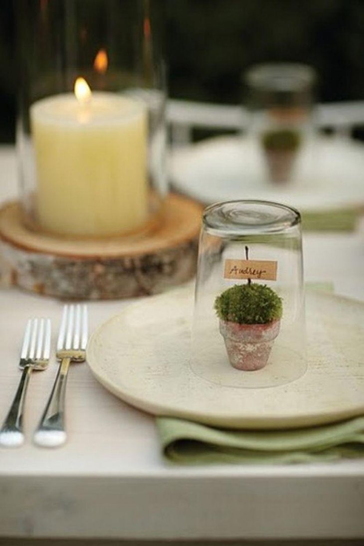 Winter table decor with poted plants and wooden slabs