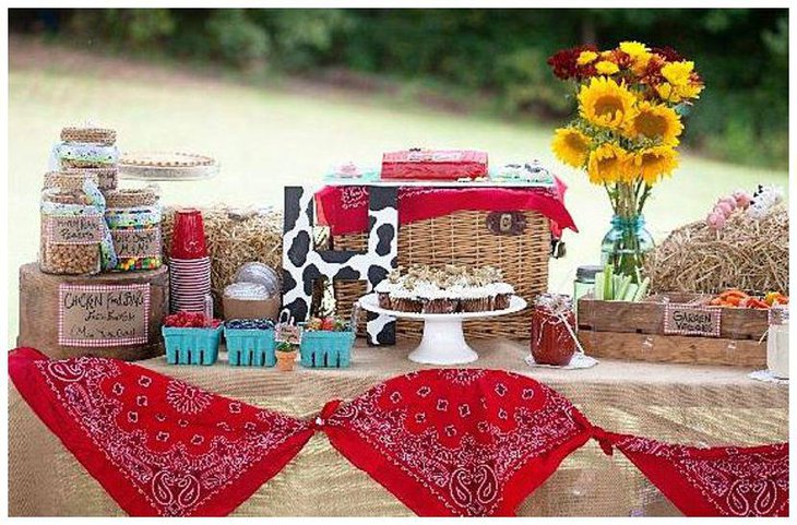 Colourful farm themed first birthday party decor for boys