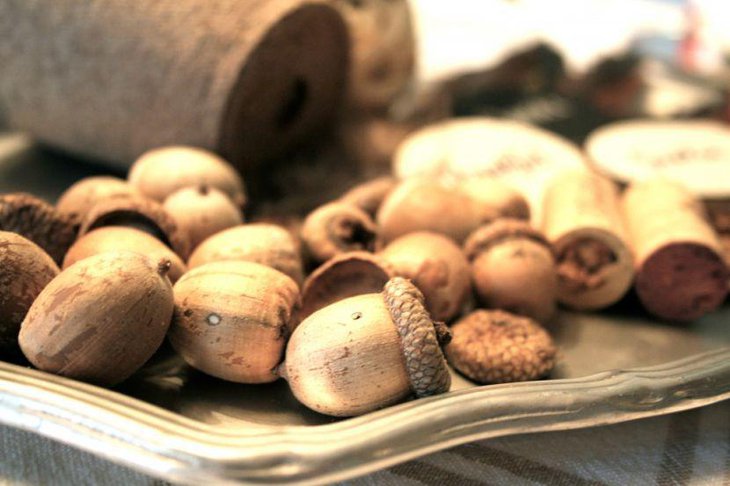Cork and Acorns Filled Tray as Table Centerpiece