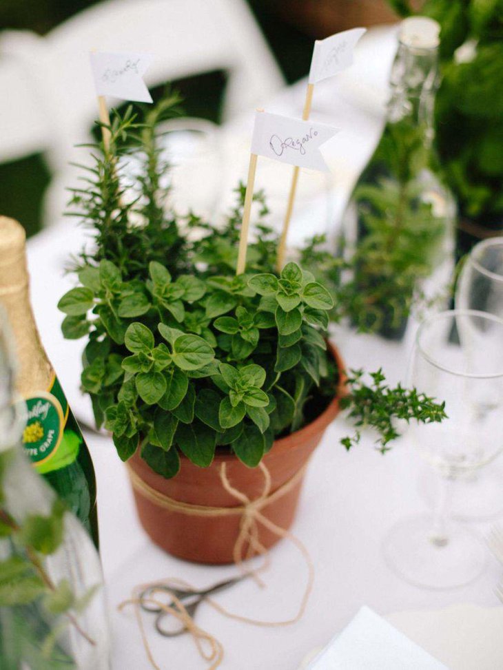 Cute little herb pot for summer garden party centerpiece