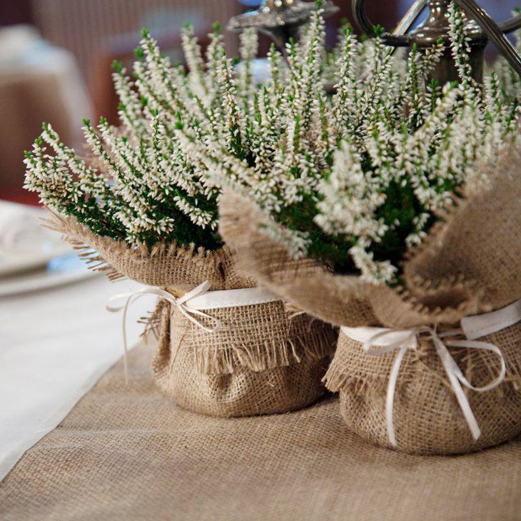 Exotic burlap plant wrap decor on a country wedding table