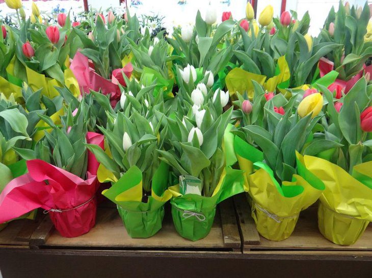 Keep your wedding flowers cooled to keep them fresh