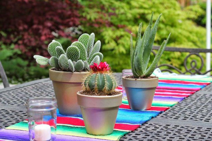 Mexican table decor with serape and cactus