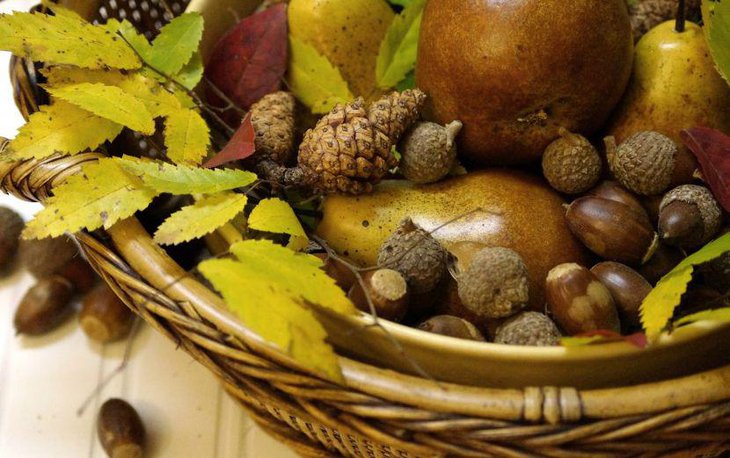 Natural Table Centerpiece With Acorns and Fruits