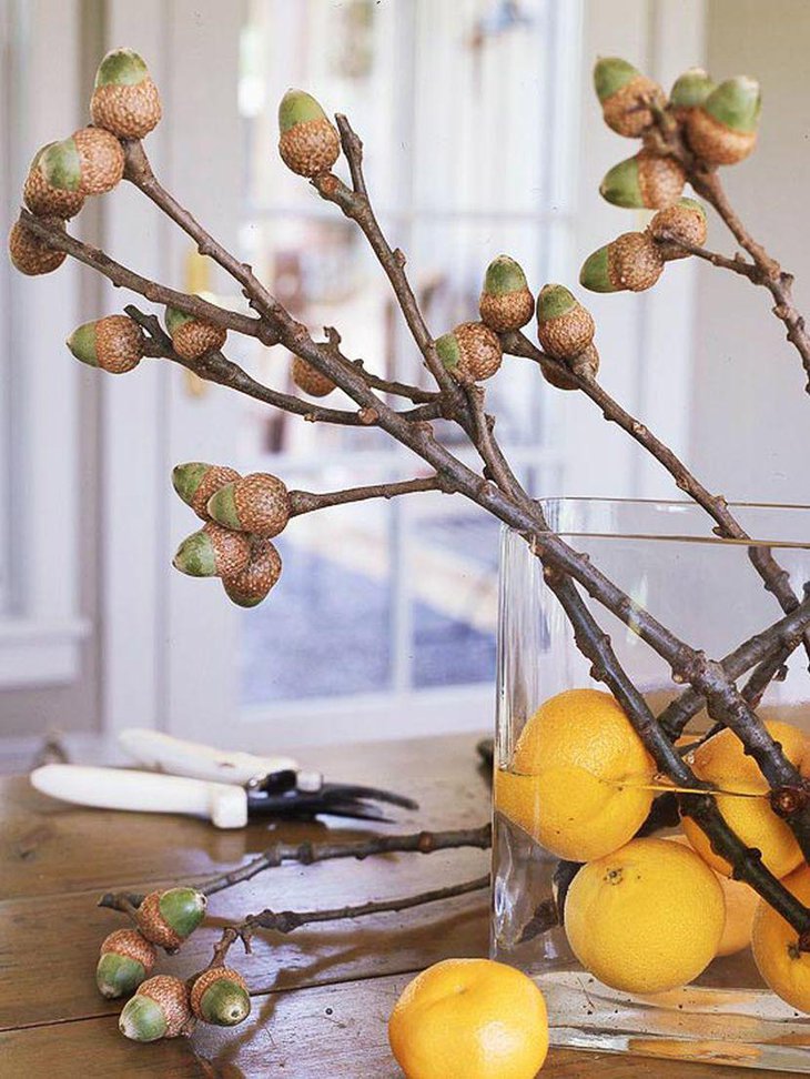 Natural Table Centerpiece With Real Acorns and Lemons