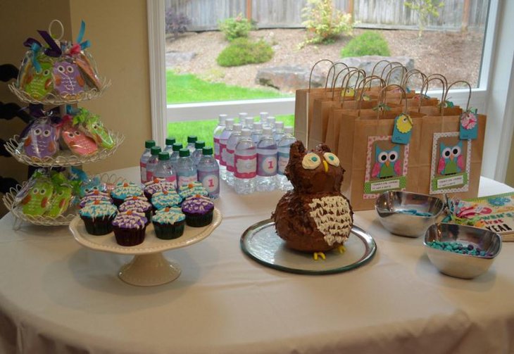 Owl Themed Birthday Dessert Table Decor